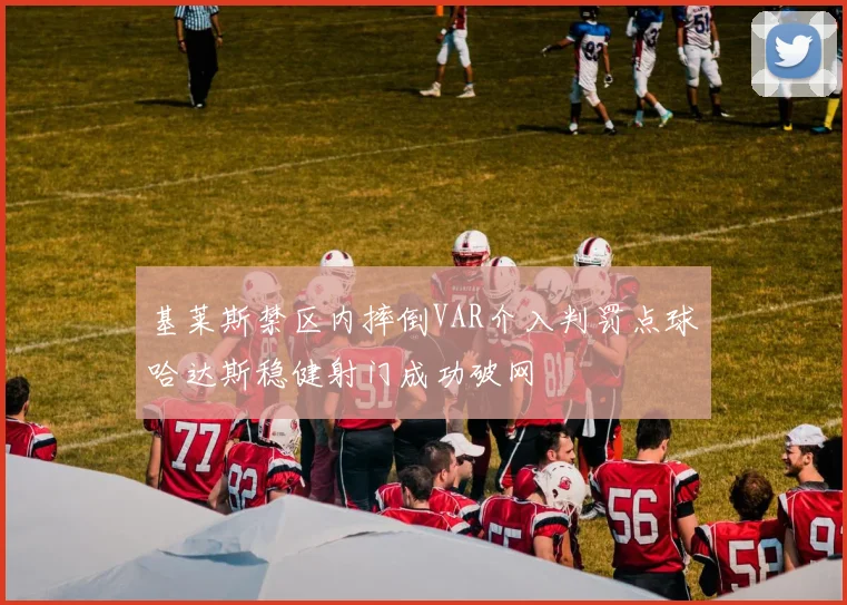基莱斯禁区内摔倒VAR介入判罚点球哈达斯稳健射门成功破网